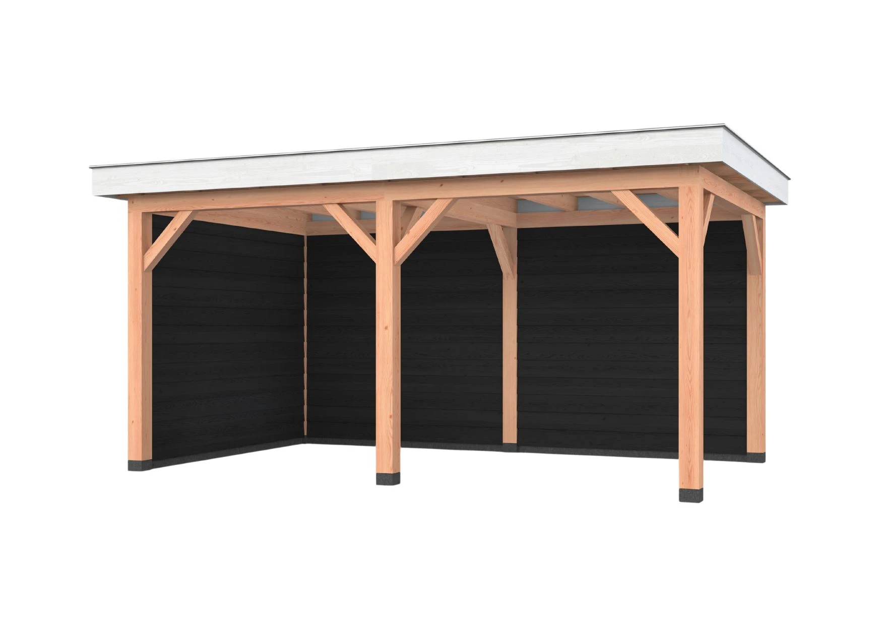 Douglas overkapping, 500 x 300, met achterwand en zijwand, Westwood Holland - Afbeelding 2